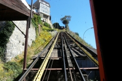 P1100627