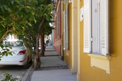 P1100569